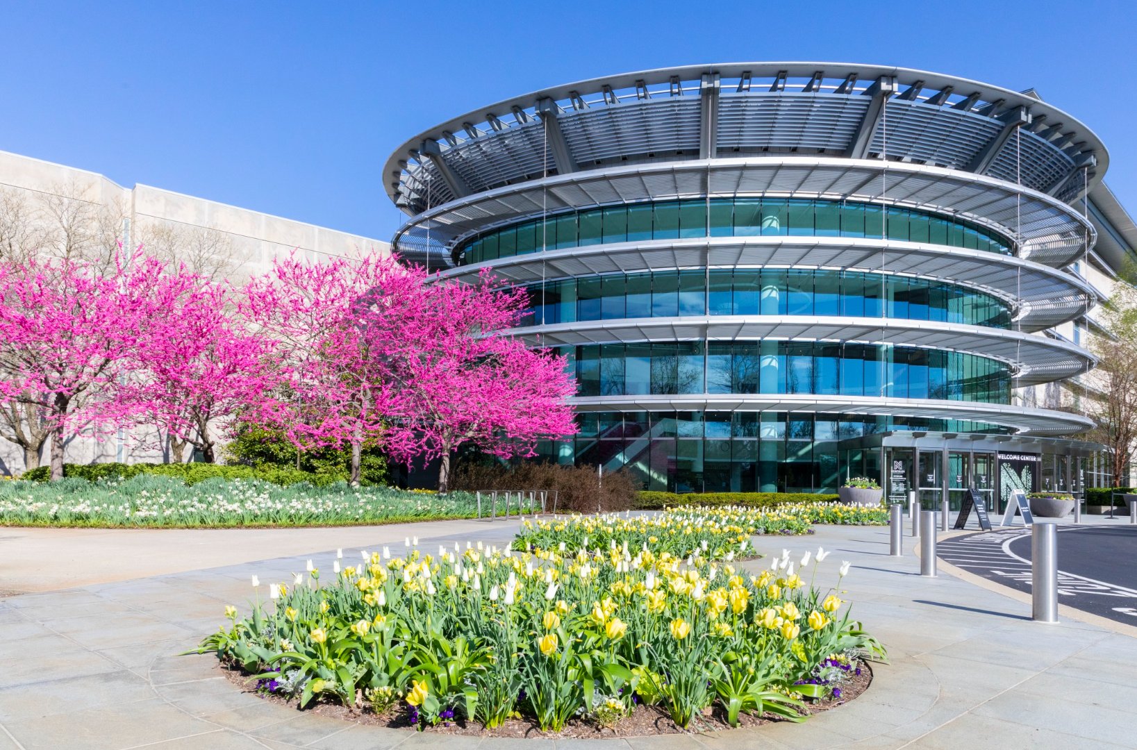 Front view of Efroymson family entrance pavilion to Indianapolis Museum of Art with yellow flowerbed and pink flowering tree.