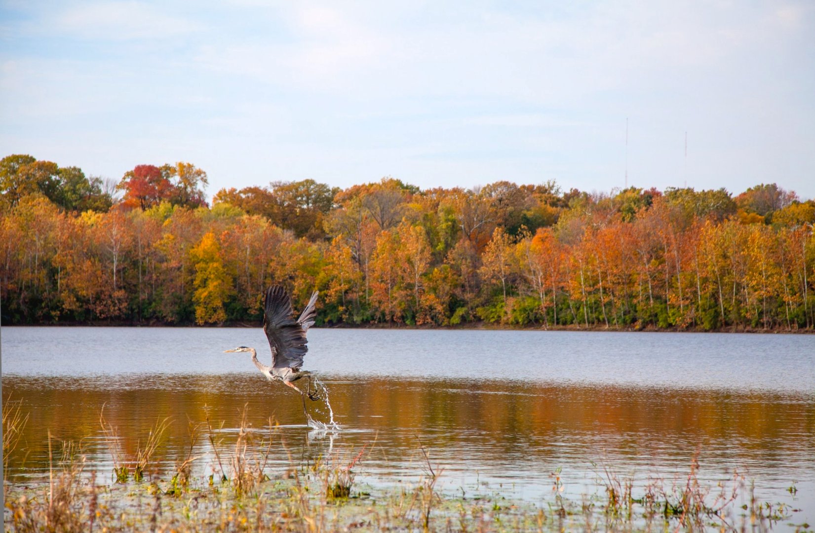 Habitat Management.jpg