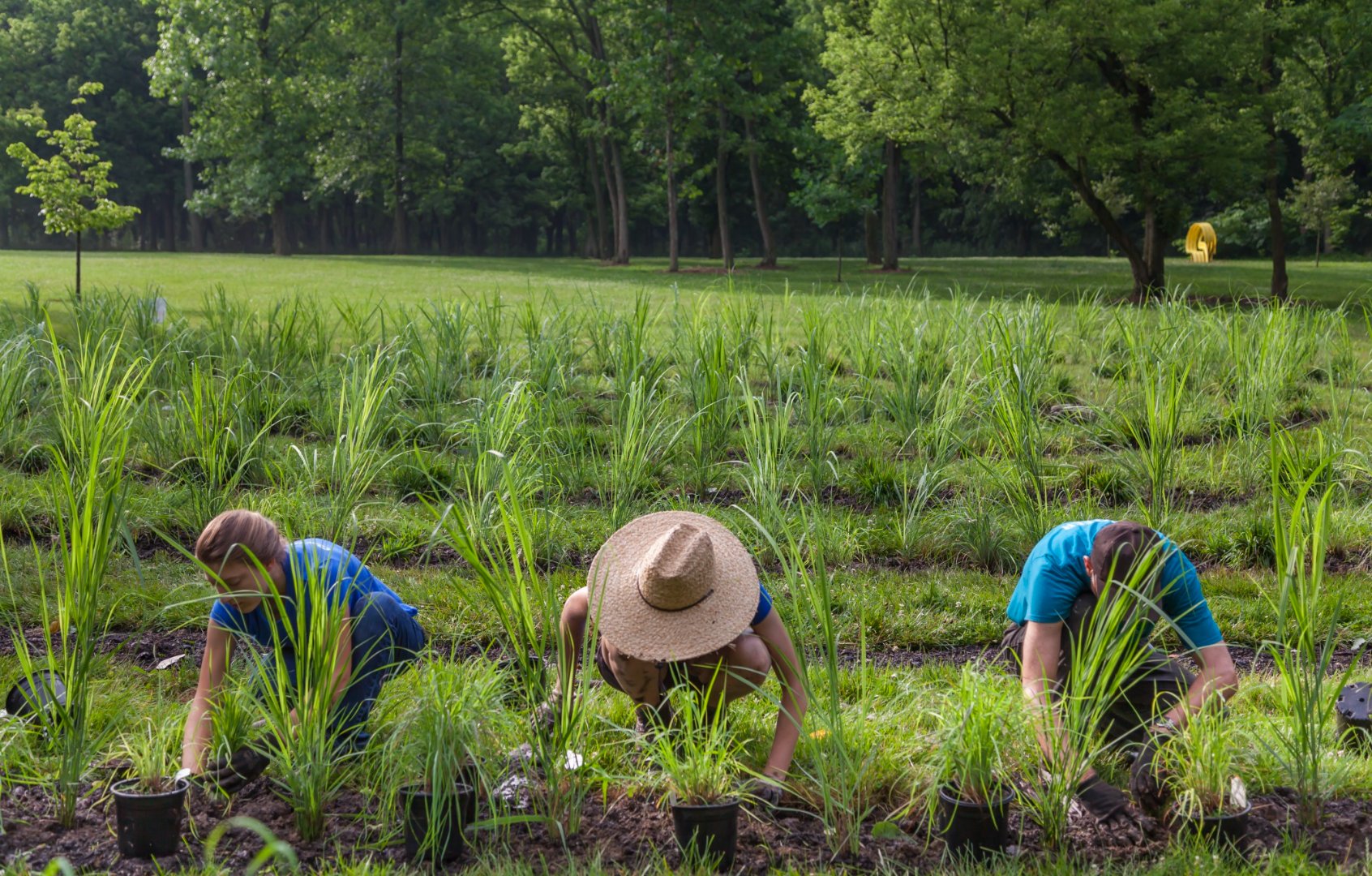 Park Planting.jpg